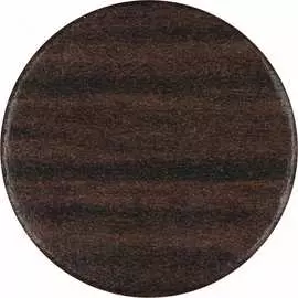 Самоклеящаяся заглушка ЕВРОПАРТНЕР 6 1982 4