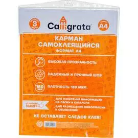 Самоклеящиеся карманы Calligrata 1929470