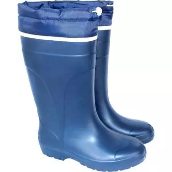 Сапоги Дарина Д503-НУ 4620034446382