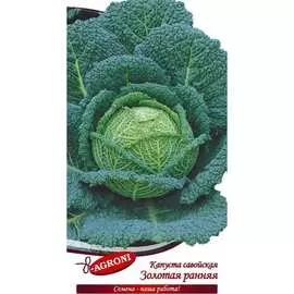Савойская капуста семена Агрони
