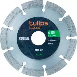 Сегментный алмазный диск Tulips Tools EA10-812