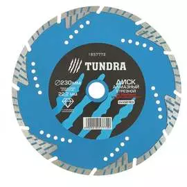 Сегментный отрезной алмазный диск TUNDRA