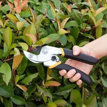 Секатор DELI DL580205 98487