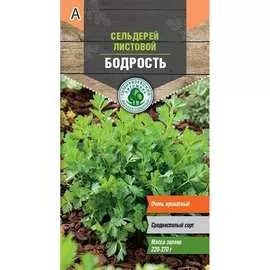 Сельдерей семена Тимирязевский питомник