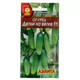 Семена Аэлита