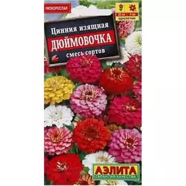 Семена Аэлита