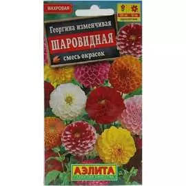 Семена Аэлита
