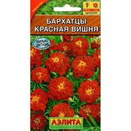 Семена Аэлита