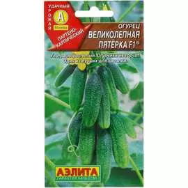 Семена Аэлита