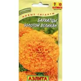 Семена Аэлита