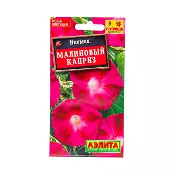 Семена Аэлита