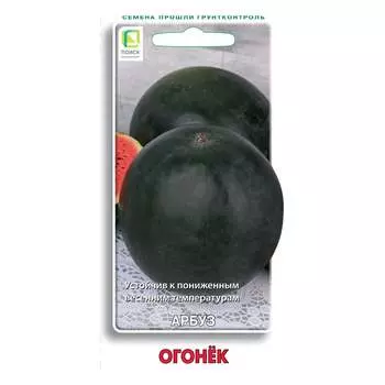 Семена Агрохолдинг ПОИСК 140006