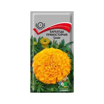 Семена Агрохолдинг ПОИСК 160498