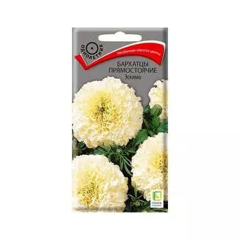 Семена Агрохолдинг ПОИСК 160550