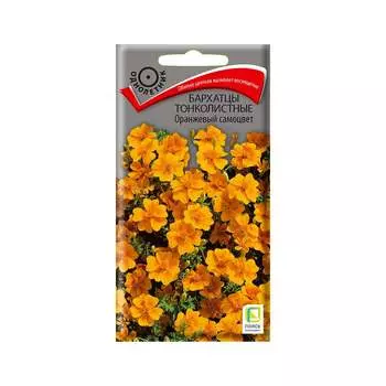 Семена Агрохолдинг ПОИСК 160564