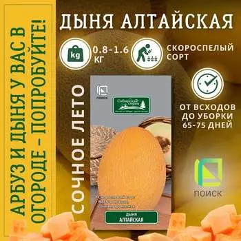 Семена Агрохолдинг ПОИСК 240893