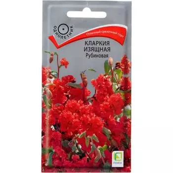 Семена Агрохолдинг ПОИСК 290072