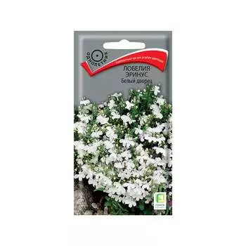 Семена Агрохолдинг ПОИСК 350170