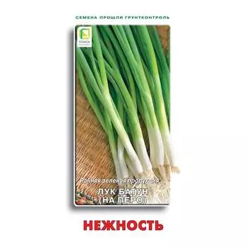 Семена Агрохолдинг ПОИСК 350319