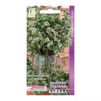 Семена Агрохолдинг ПОИСК 350959