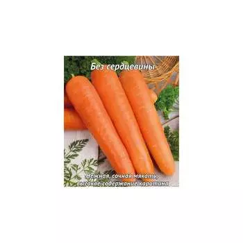 Семена Агрохолдинг ПОИСК 370565