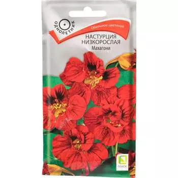 Семена Агрохолдинг ПОИСК 390260