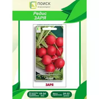 Семена Агрохолдинг ПОИСК 440848