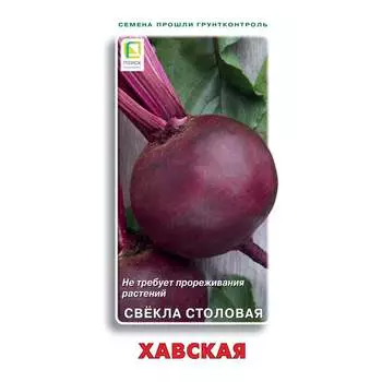 Семена Агрохолдинг ПОИСК 470984