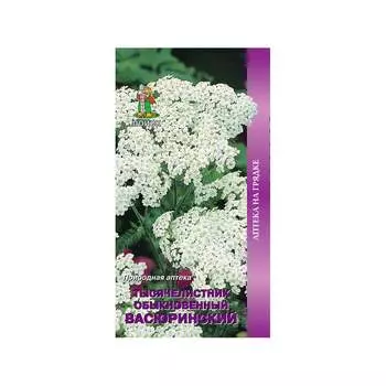 Семена Агрохолдинг ПОИСК 520810