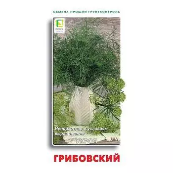 Семена Агрохолдинг ПОИСК 560262