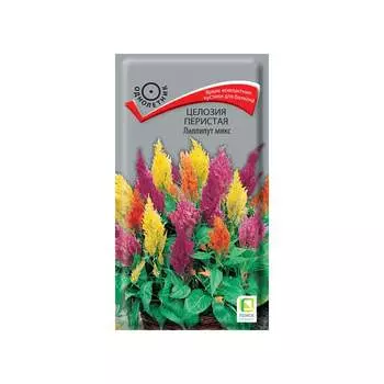 Семена Агрохолдинг ПОИСК 580734