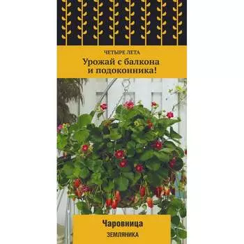 Семена Агрохолдинг ПОИСК 670638