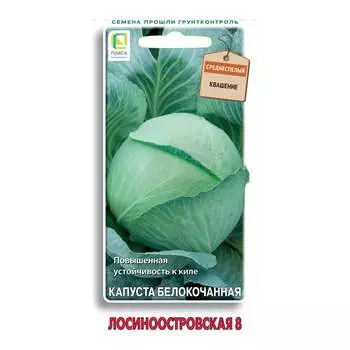 Семена Агрохолдинг ПОИСК 700460