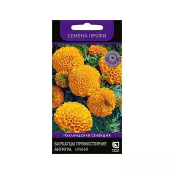 Семена Агрохолдинг ПОИСК 700956