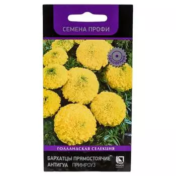 Семена Агрохолдинг ПОИСК 700962