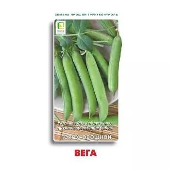 Семена Агрохолдинг ПОИСК 704030