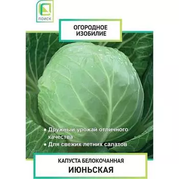 Семена Агрохолдинг ПОИСК 705988