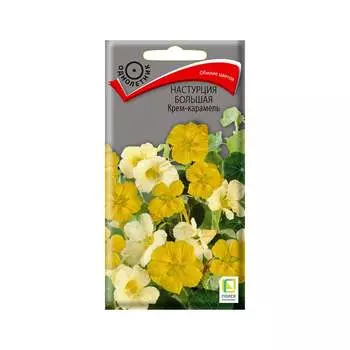 Семена Агрохолдинг ПОИСК 721680