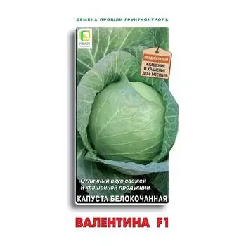 Семена Агрохолдинг ПОИСК 723881