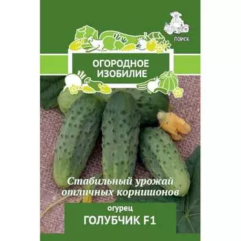 Семена Агрохолдинг ПОИСК 724034