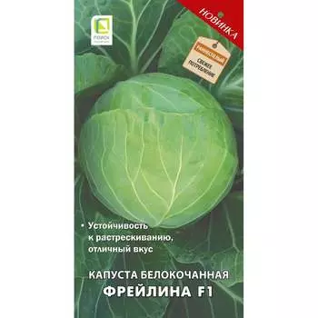 Семена Агрохолдинг ПОИСК 725486