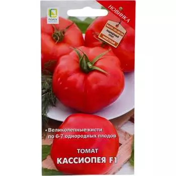 Семена Агрохолдинг ПОИСК 725506