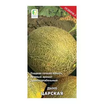 Семена Агрохолдинг ПОИСК 738521