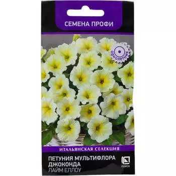 Семена Агрохолдинг ПОИСК 787511