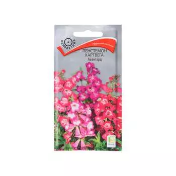 Семена Агрохолдинг ПОИСК 797333