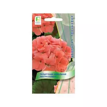 Семена Агрохолдинг ПОИСК 804412