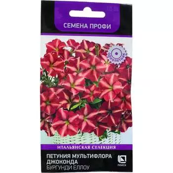 Семена Агрохолдинг ПОИСК 808251