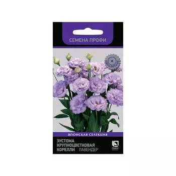 Семена Агрохолдинг ПОИСК 808343