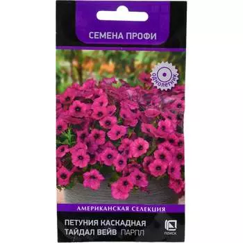 Семена Агрохолдинг ПОИСК 816771