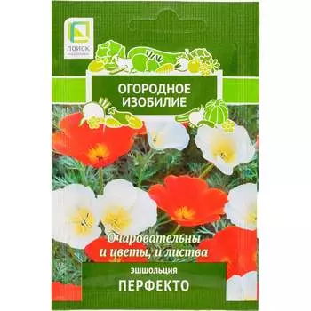 Семена Агрохолдинг ПОИСК 816987